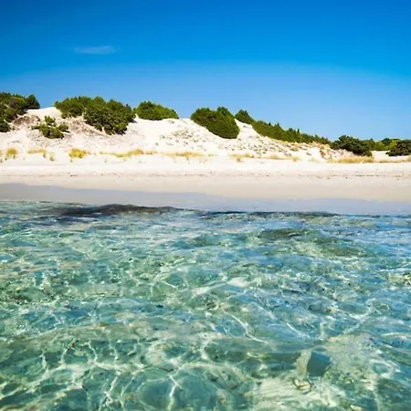 Porto Pineto Indipendente 100 Mt Dal Mare Iunp7395 度假居 *