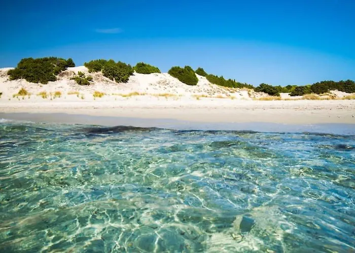 Porto Pineto Indipendente 100 Mt Dal Mare Iunp7395 度假居 *
