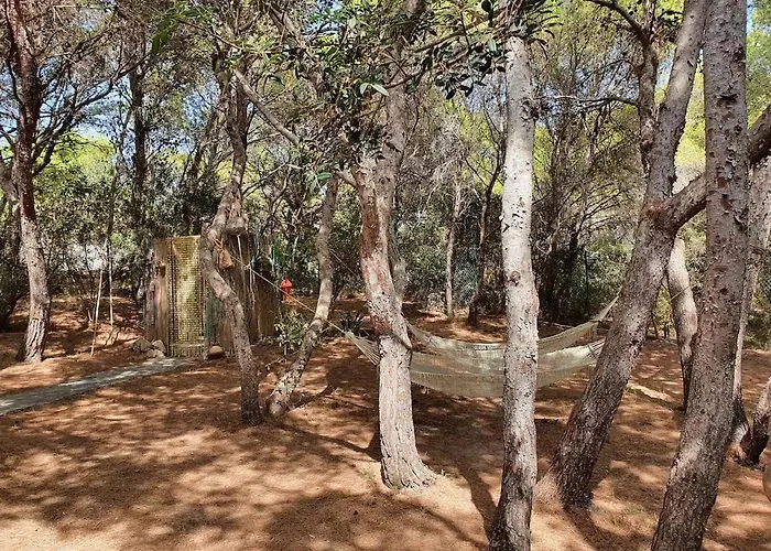 Porto Pineto Indipendente 100 Mt Dal Mare Iunp7395 * 皮诺港