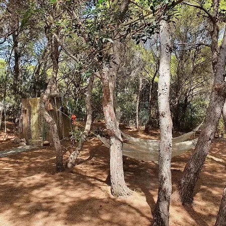 Porto Pineto Indipendente 100 Mt Dal Mare Iunp7395 * Porto Pino