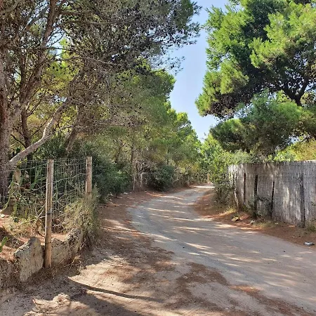 Porto Pineto Indipendente 100 Mt Dal Mare Iunp7395 Dom wakacyjny