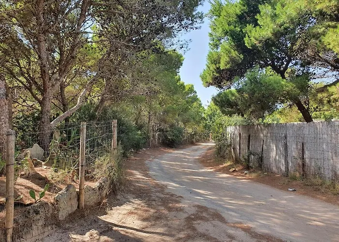 Porto Pineto Indipendente 100 Mt Dal Mare Iunp7395 Ferienhaus