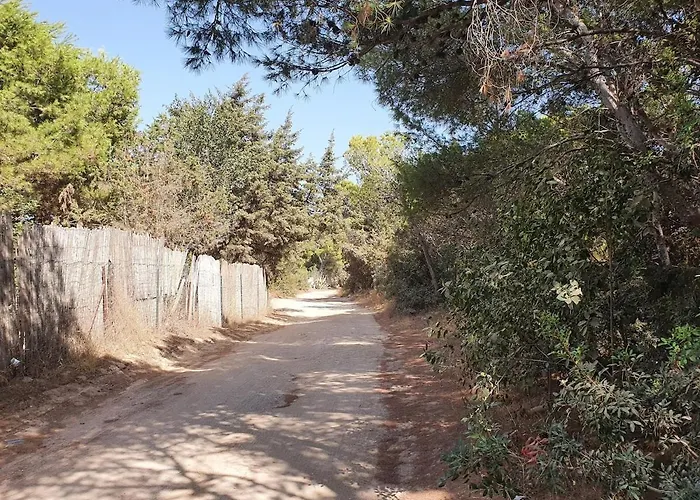 Ferienhaus Porto Pineto Indipendente 100 Mt Dal Mare Iunp7395 *