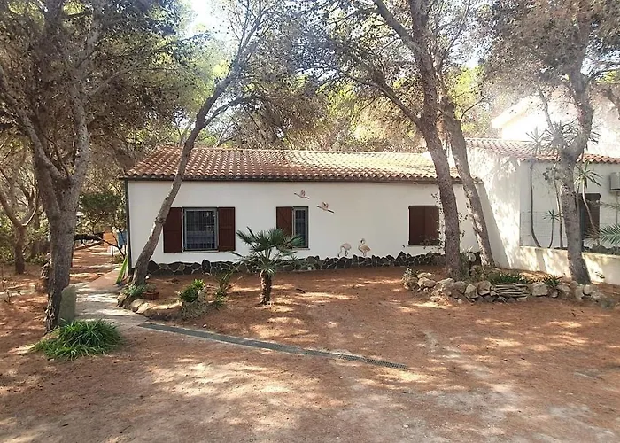 Porto Pineto Indipendente 100 Mt Dal Mare Iunp7395 *